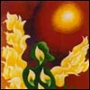 The Phoenix