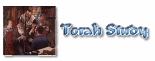 Torah Study 2.jpg